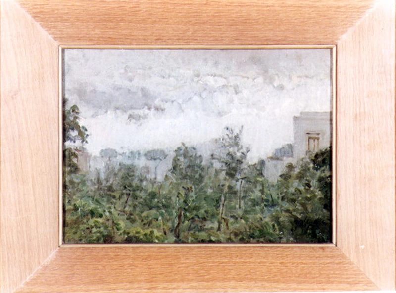 Paesaggio dopo la pioggia - Napoli